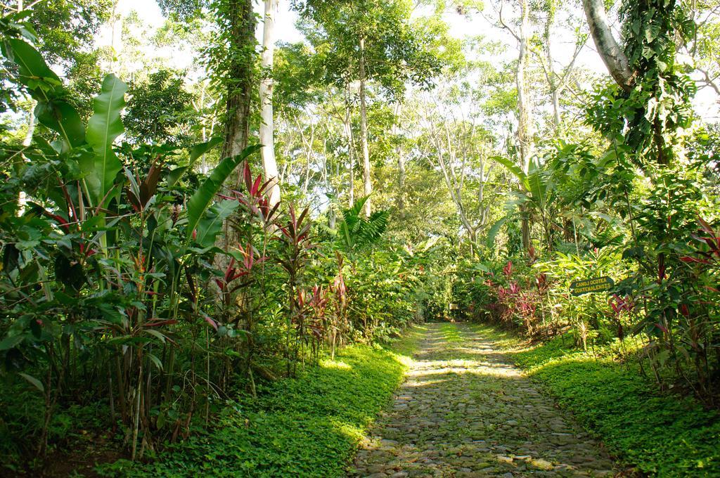 Takalik Maya Lodge El Asintal Exteriör bild